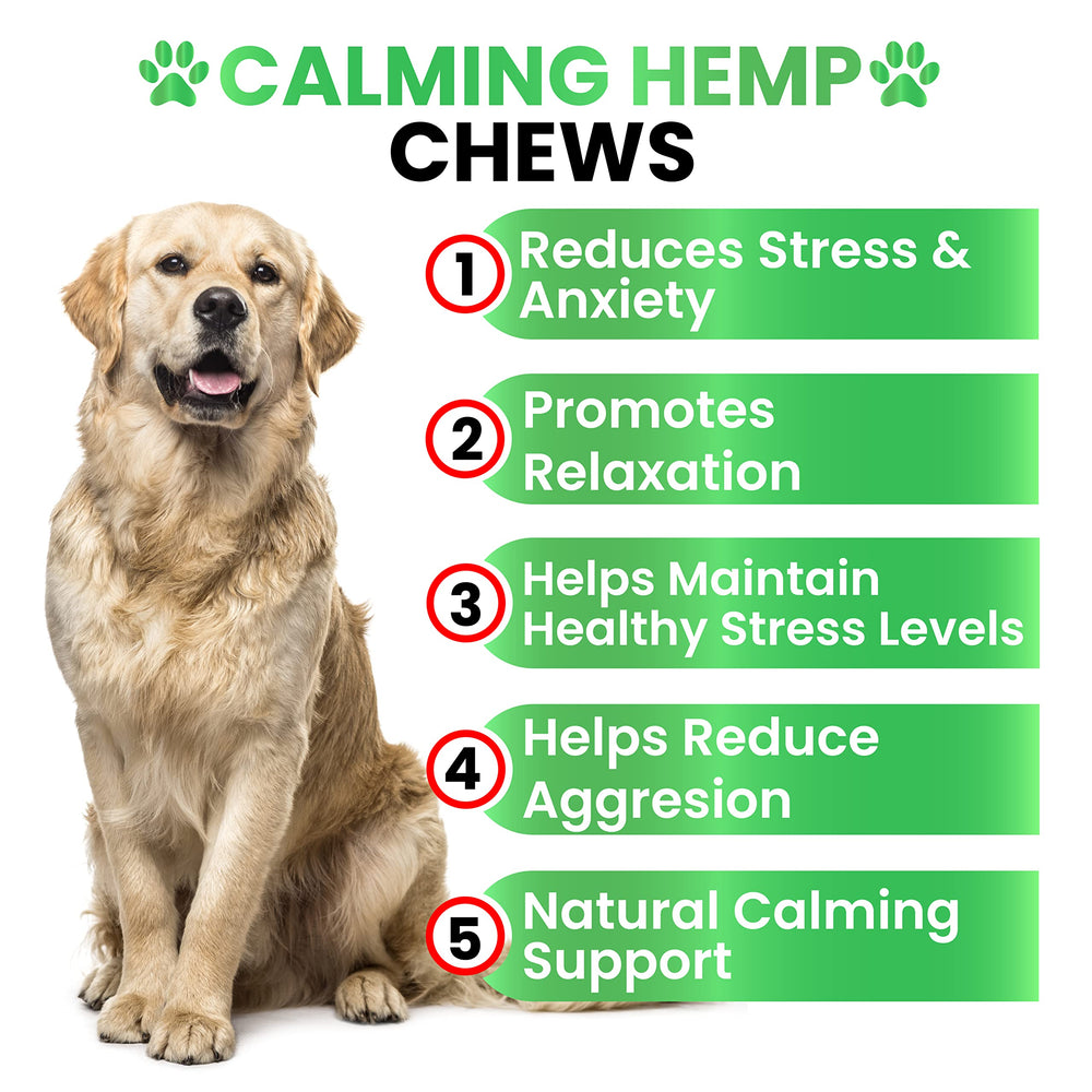 Grateful Pawz calming chews for dogs in a pack soothe nerves during car rides.