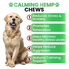 Grateful Pawz calming chews for dogs in a pack soothe nerves during car rides.