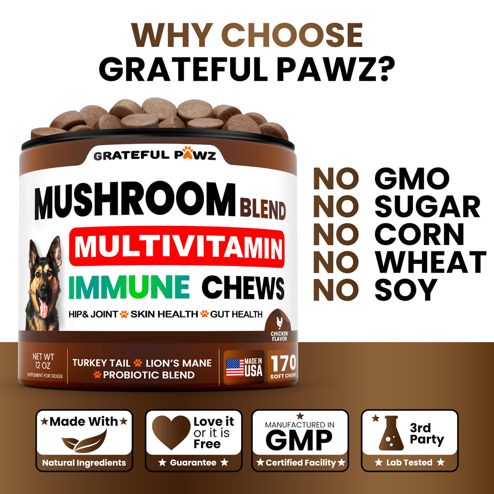 Grateful Pawz hip & joint chews aid mobility in dogs.
