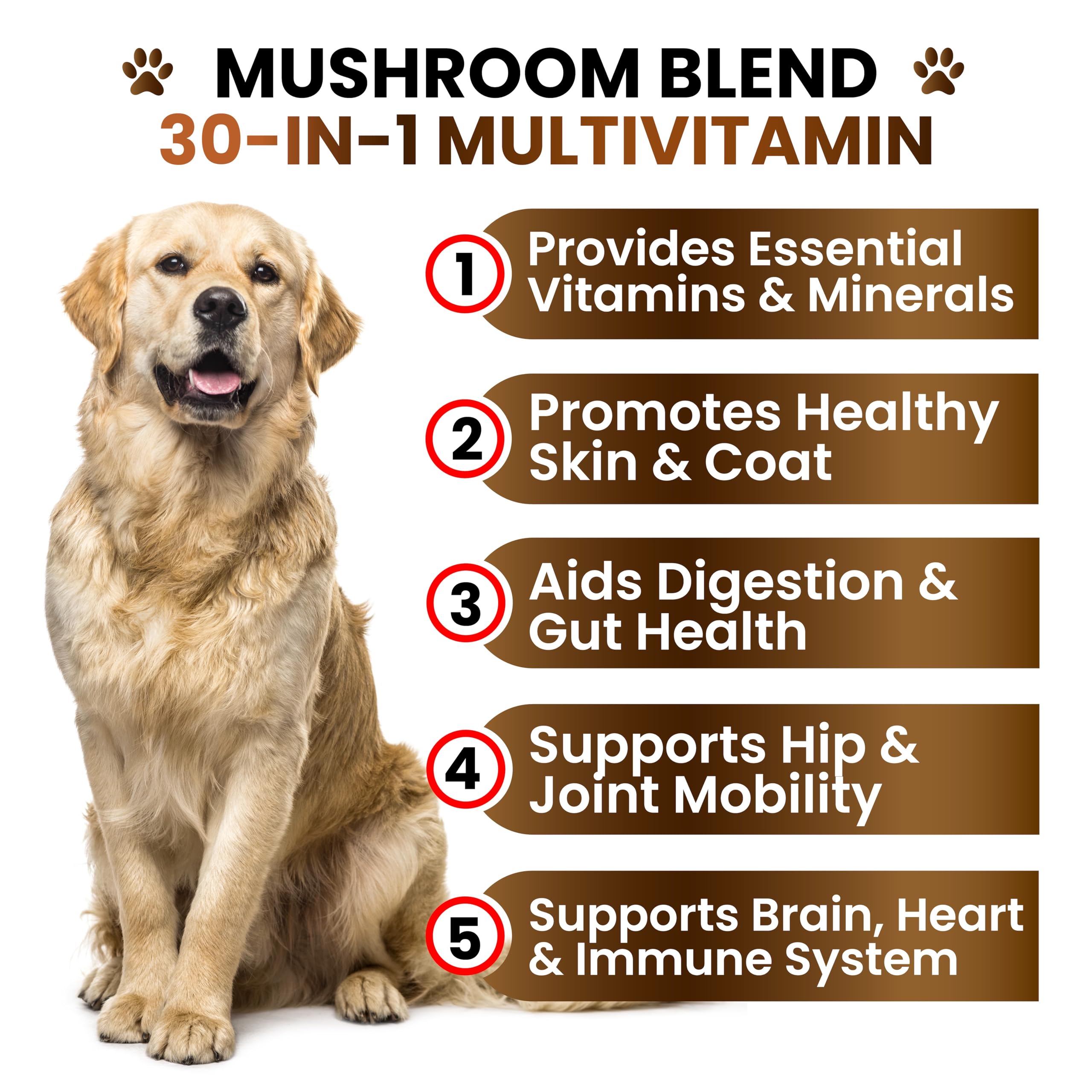 Grateful Pawz vet-formulated USA-made label signaling trusted ingredients.