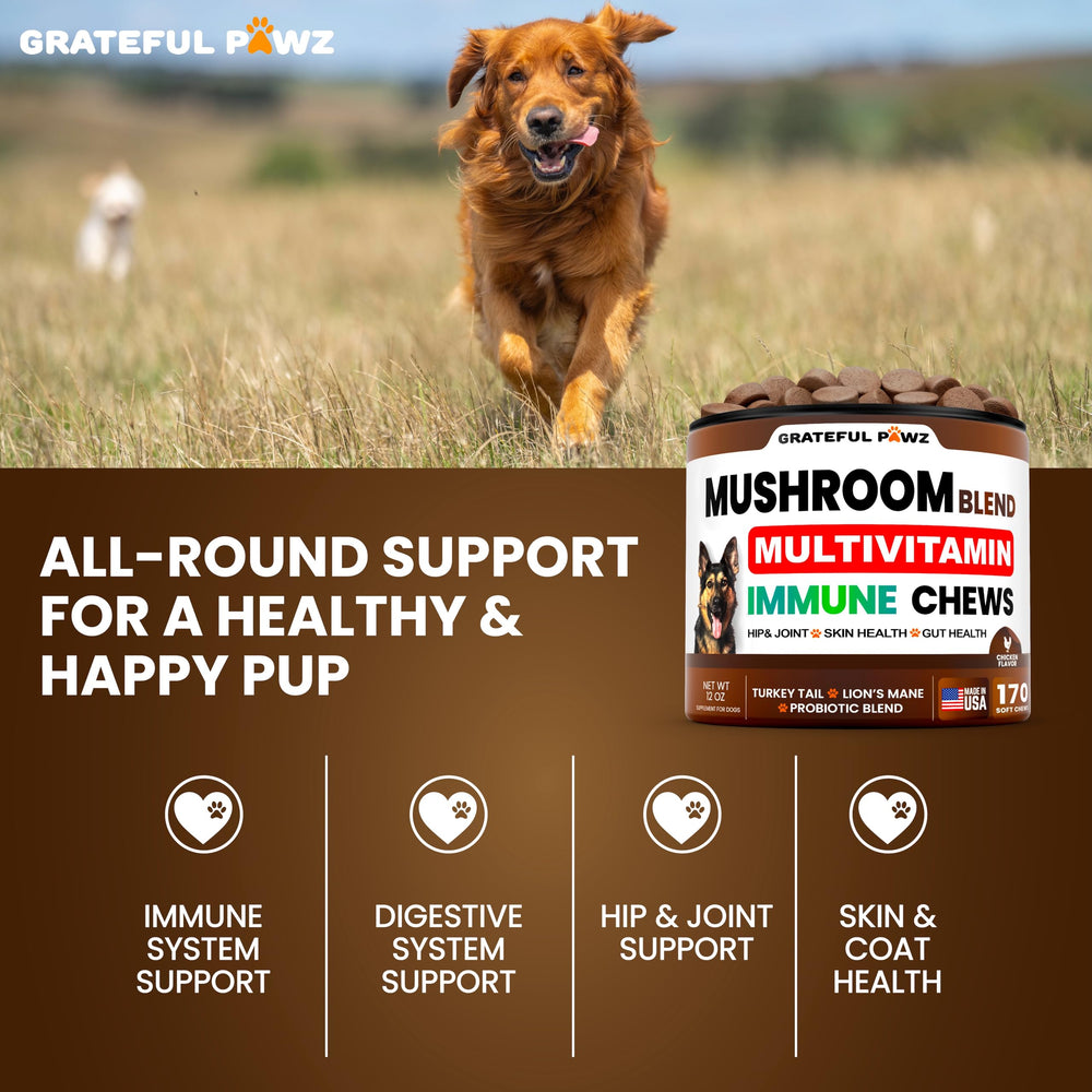 Grateful Pawz skin and coat chews promote hydration and shine.