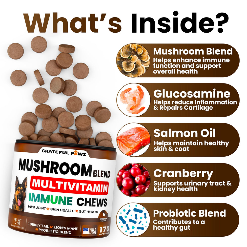 Grateful Pawz thirty-in-one mushroom chews support immunity and joints.