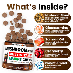 Grateful Pawz thirty-in-one mushroom chews support immunity and joints.