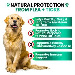 Grateful Pawz USA-made label emphasizes natural ingredients and safety
