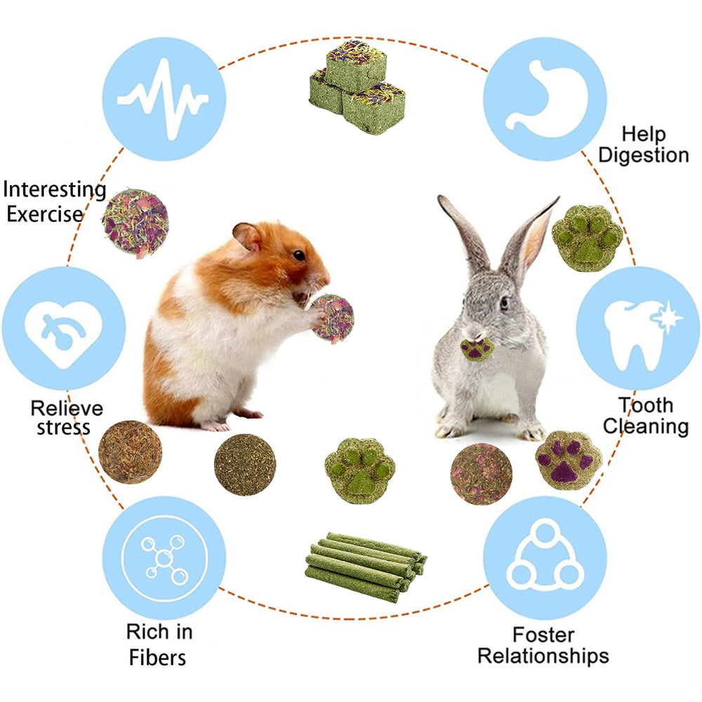 Grddaef rabbit toys apple wood sticks support natural gnawing and dental wear
