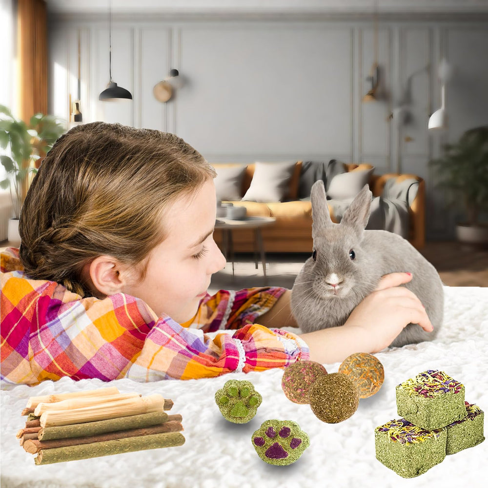 Grddaef rabbit toys circular grass cakes provide varied textures for chewing