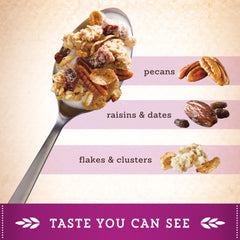 Great Grains dates slices detail emphasizing chewy bites in every spoonful