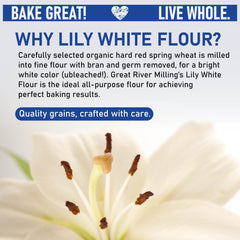 Great River Milling Lily White Flour texture close-up for even results in baking