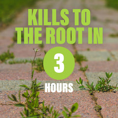 Green Gobbler Total Control spray action enables targeted weed kill along sidewalks.