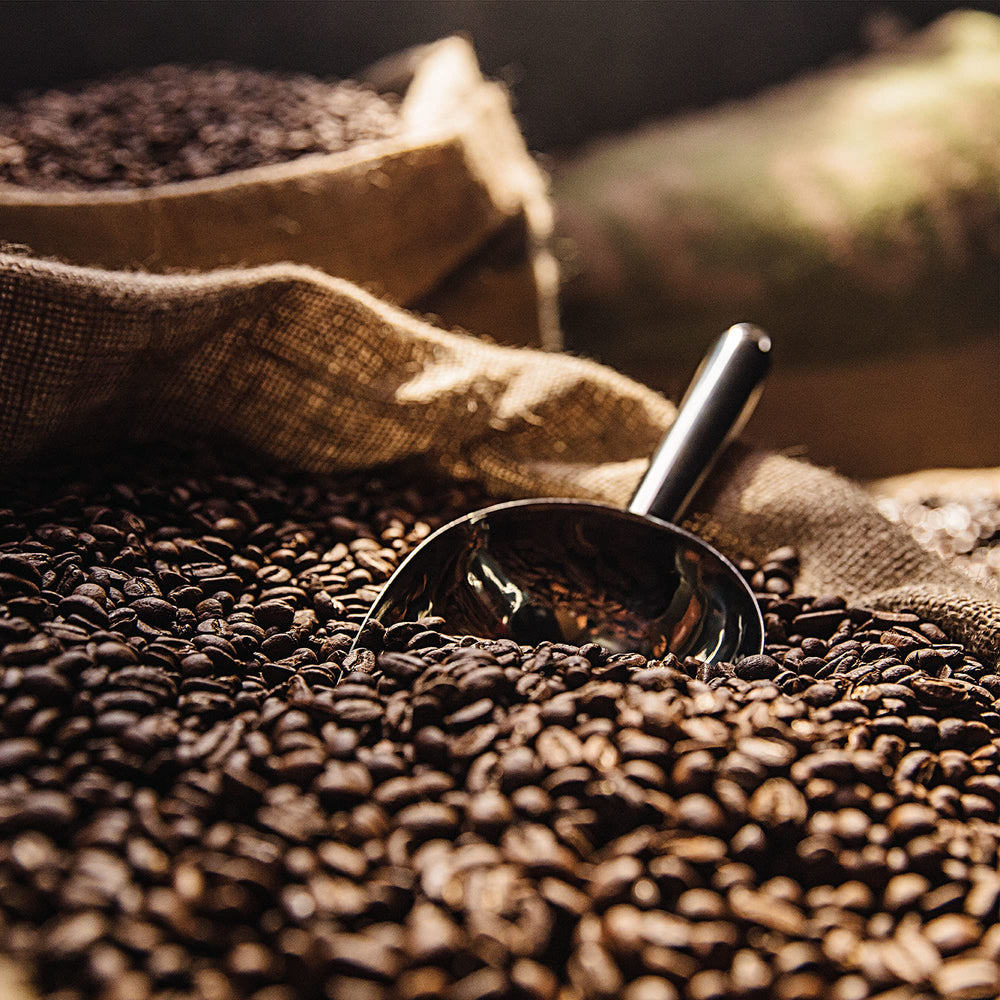 Green Mountain Dark Magic sustainable sourcing journey from mountains to cup.