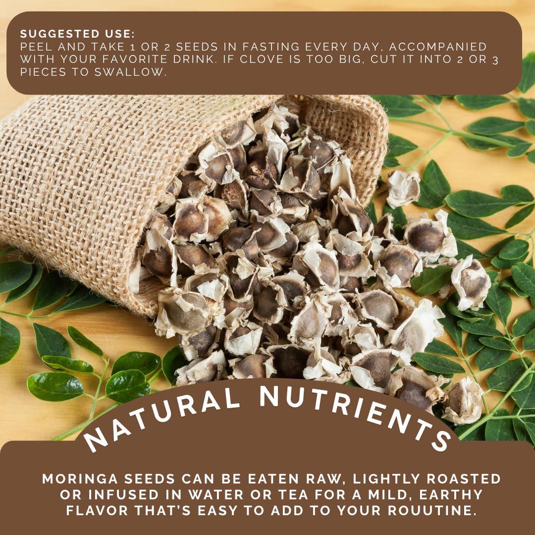 GREEN ROYALTY Moringa seeds ready for tea infusion and refreshing beverages