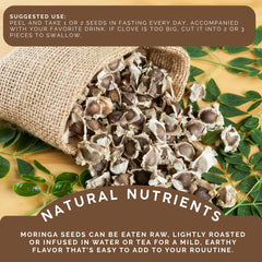 GREEN ROYALTY Moringa seeds ready for tea infusion and refreshing beverages