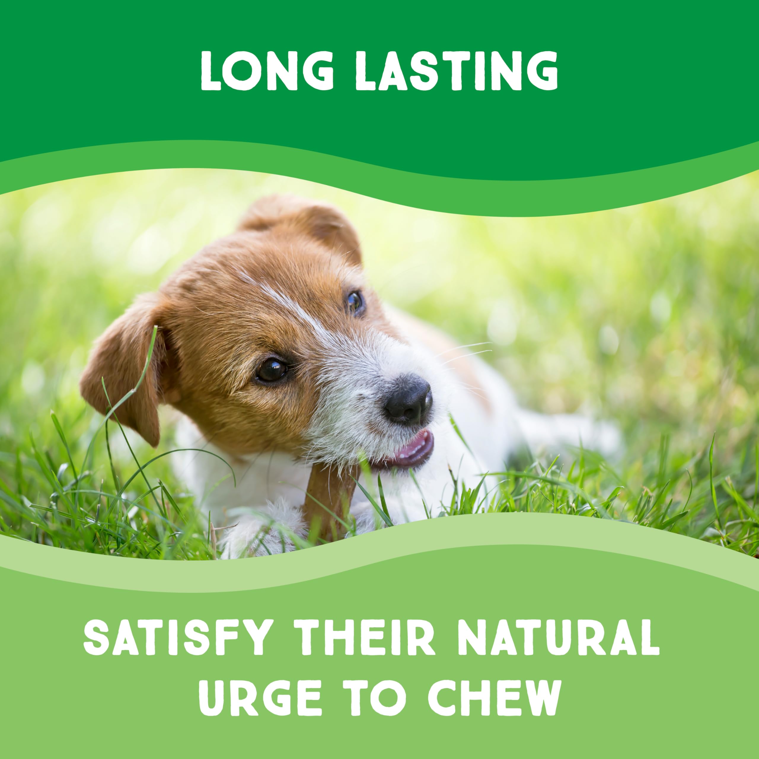 GreenCow Rawhide Chips dog chewing close-up for aggressive chewers.