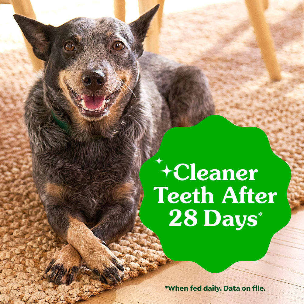 Greenies 36oz pack label highlights generous supply for ongoing daily dental care.