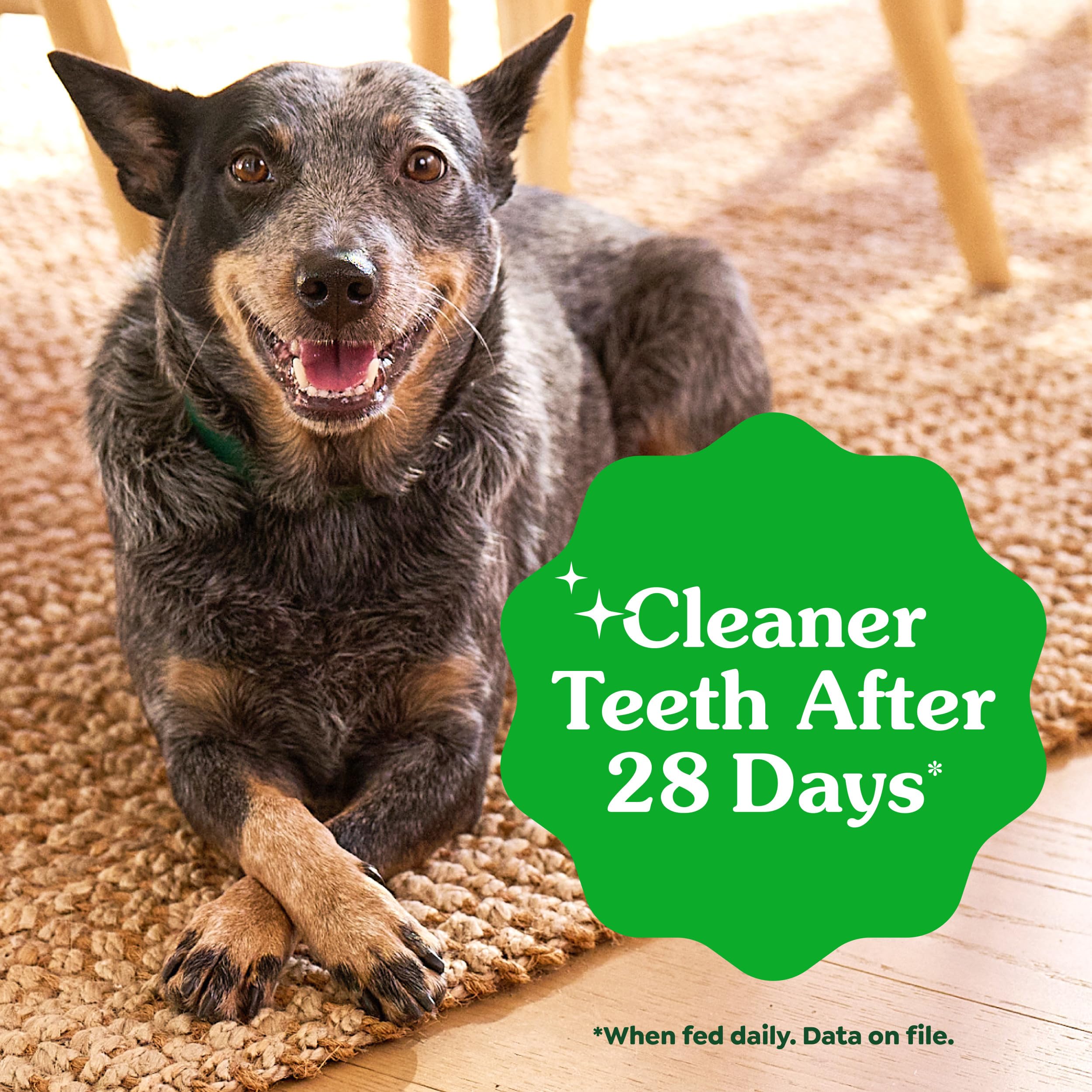 Greenies 6oz pack highlights 22-count value for small dogs.