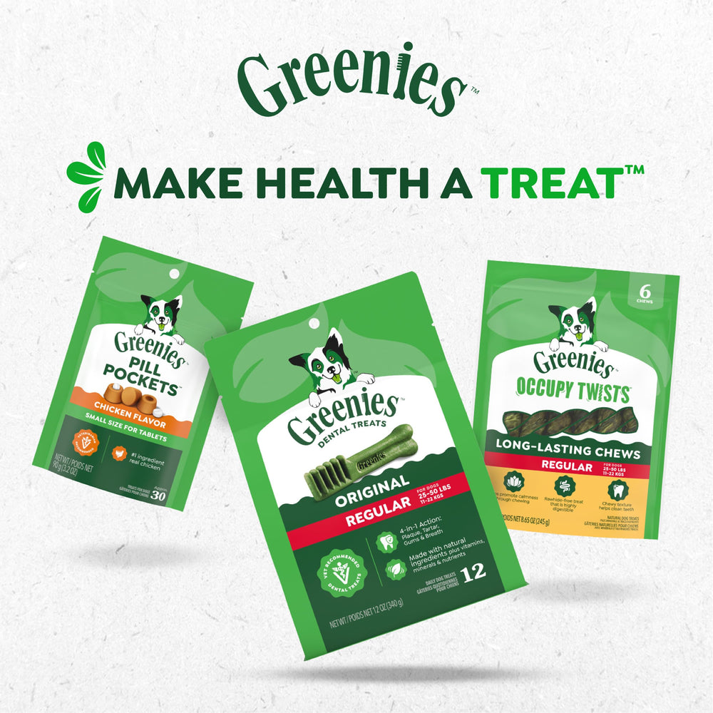 Dog enjoying a Greenies Anytime Bites chew.