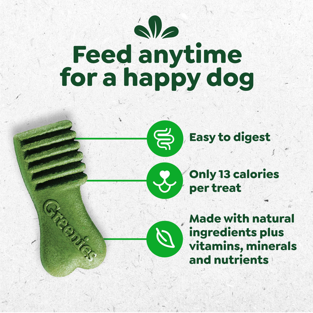 Dog training moment with Greenies Anytime Bites in a treat pouch.