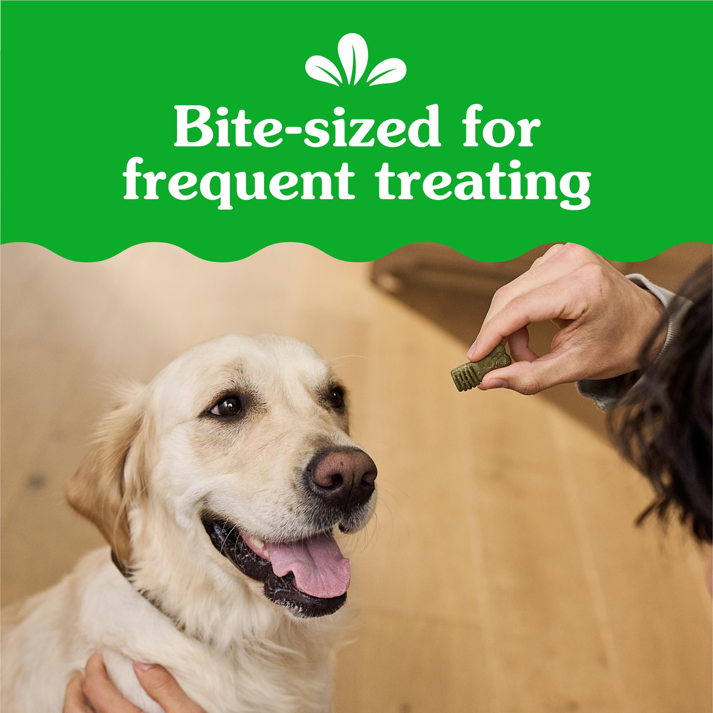 Greenies Anytime Bites delicious flavor illustrating irresistible taste for dogs.