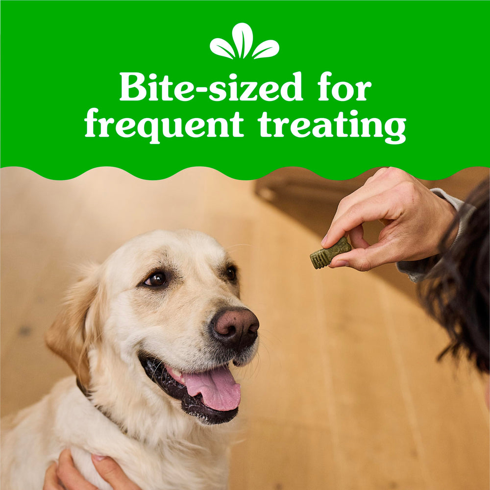Greenies Anytime Bites delicious flavor illustrating irresistible taste for dogs.