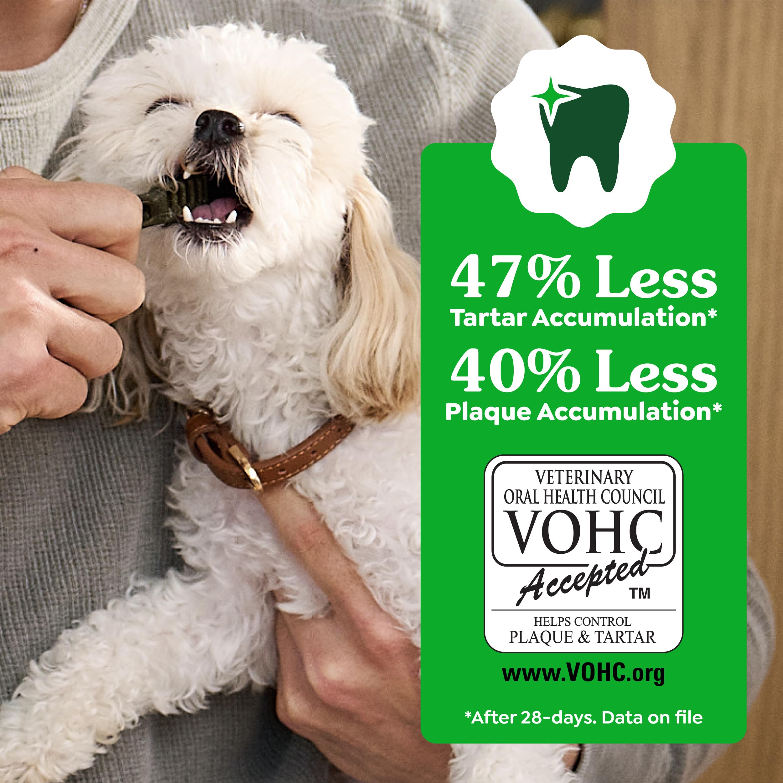 Greenies bundle 3x12oz pack highlights value and consistency.