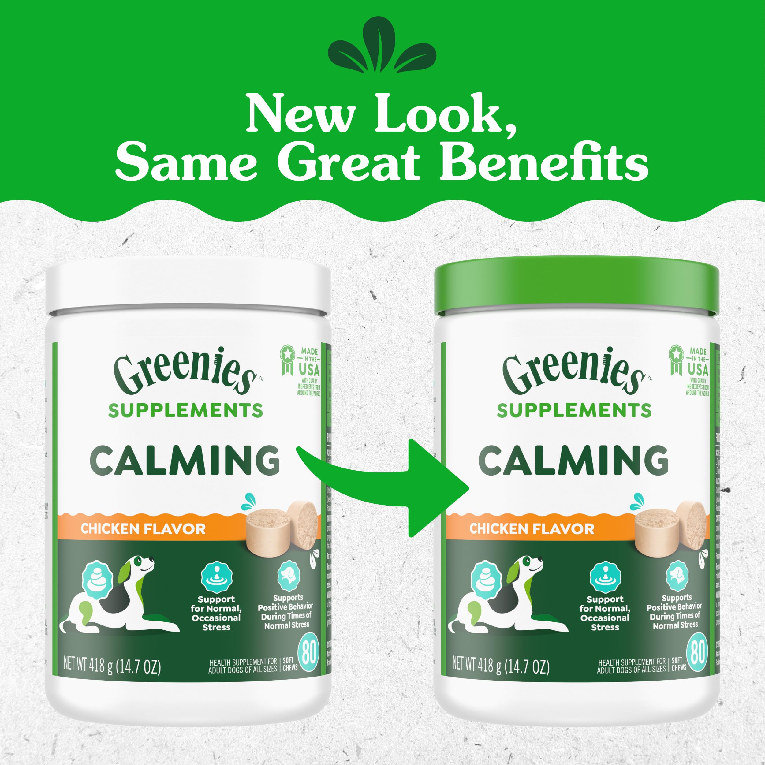Happy dog with Greenies calming chews ready for calm moments