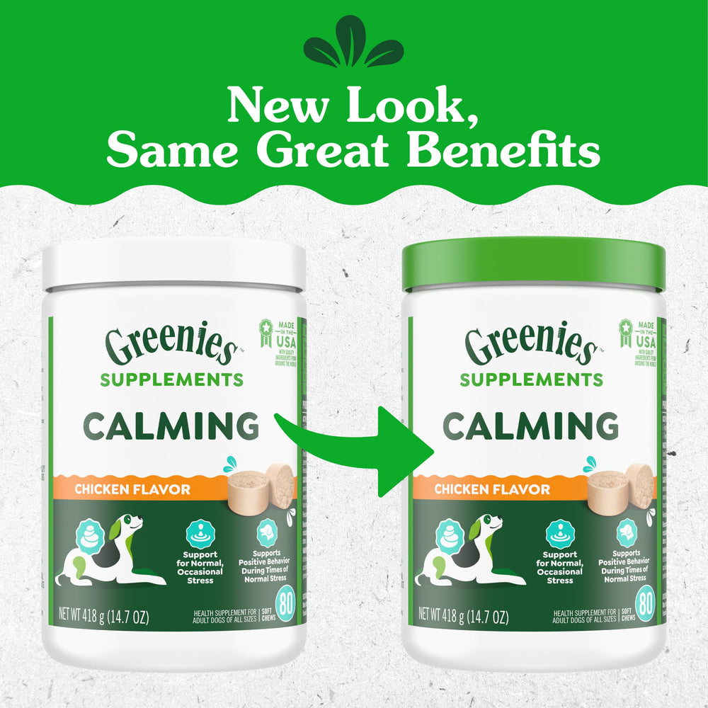 Happy dog with Greenies calming chews ready for calm moments