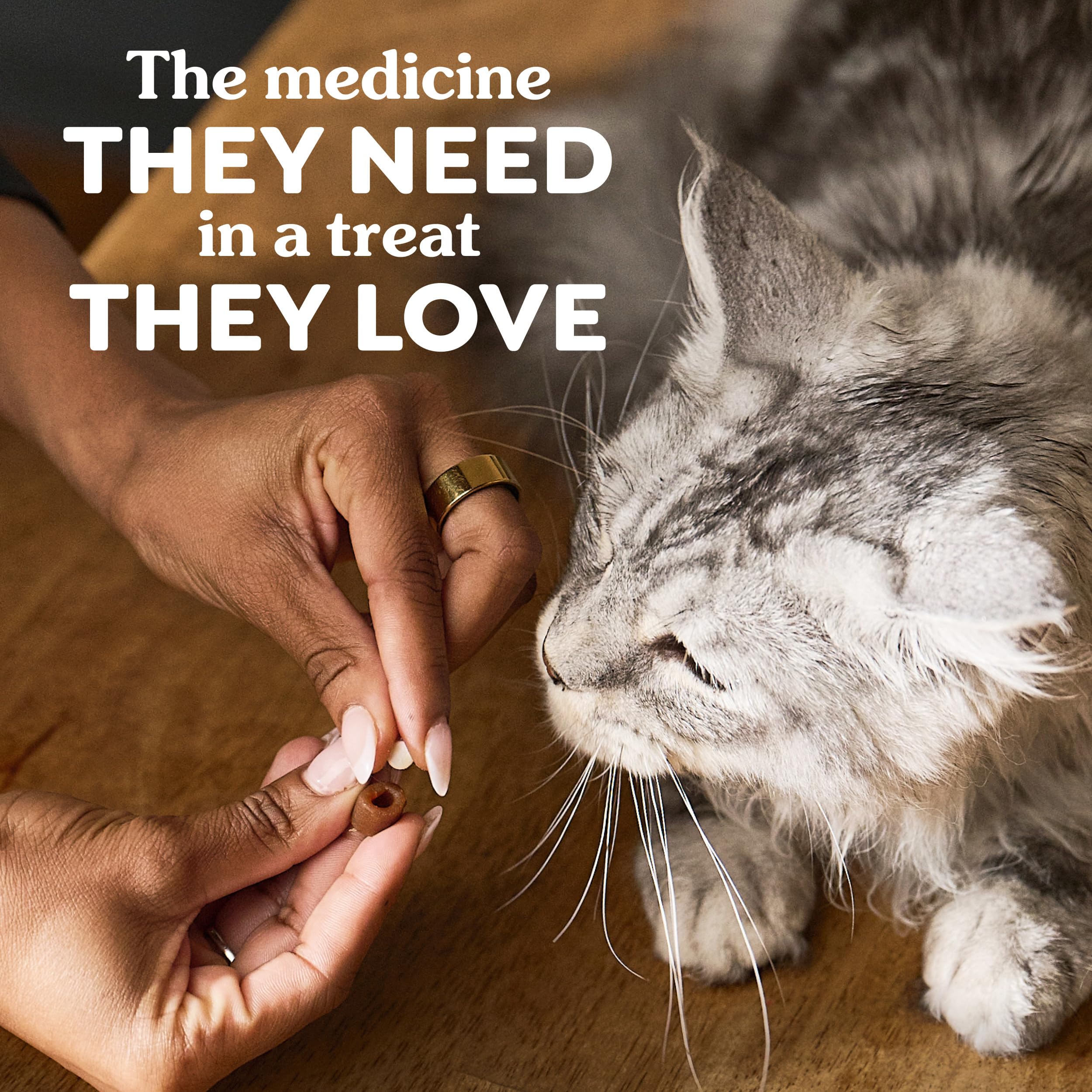 Greenies Pill Pockets provide a tasty option for adult cats during med time.