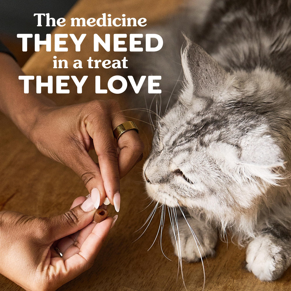 Greenies Pill Pockets provide a tasty option for adult cats during med time.