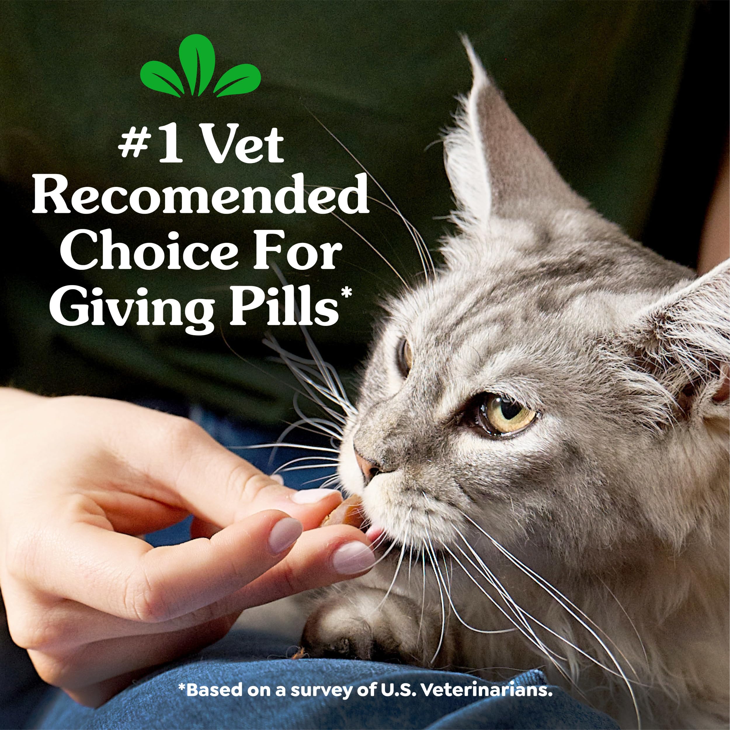 Greenies Pill Pockets have a soft texture and catnip aroma to please cats.