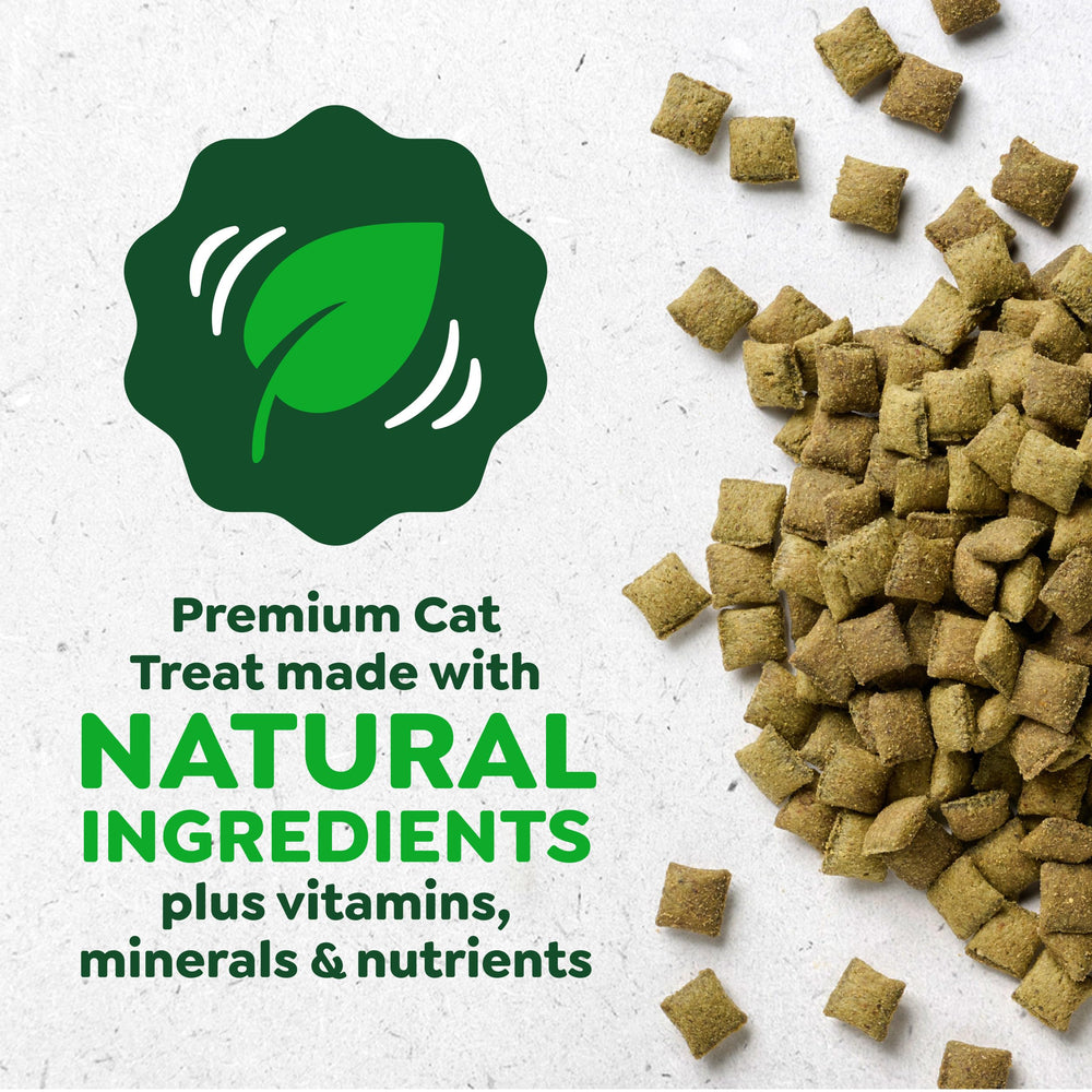 Greenies 16oz tub packaging shown as convenient daily snack for indoor kittens