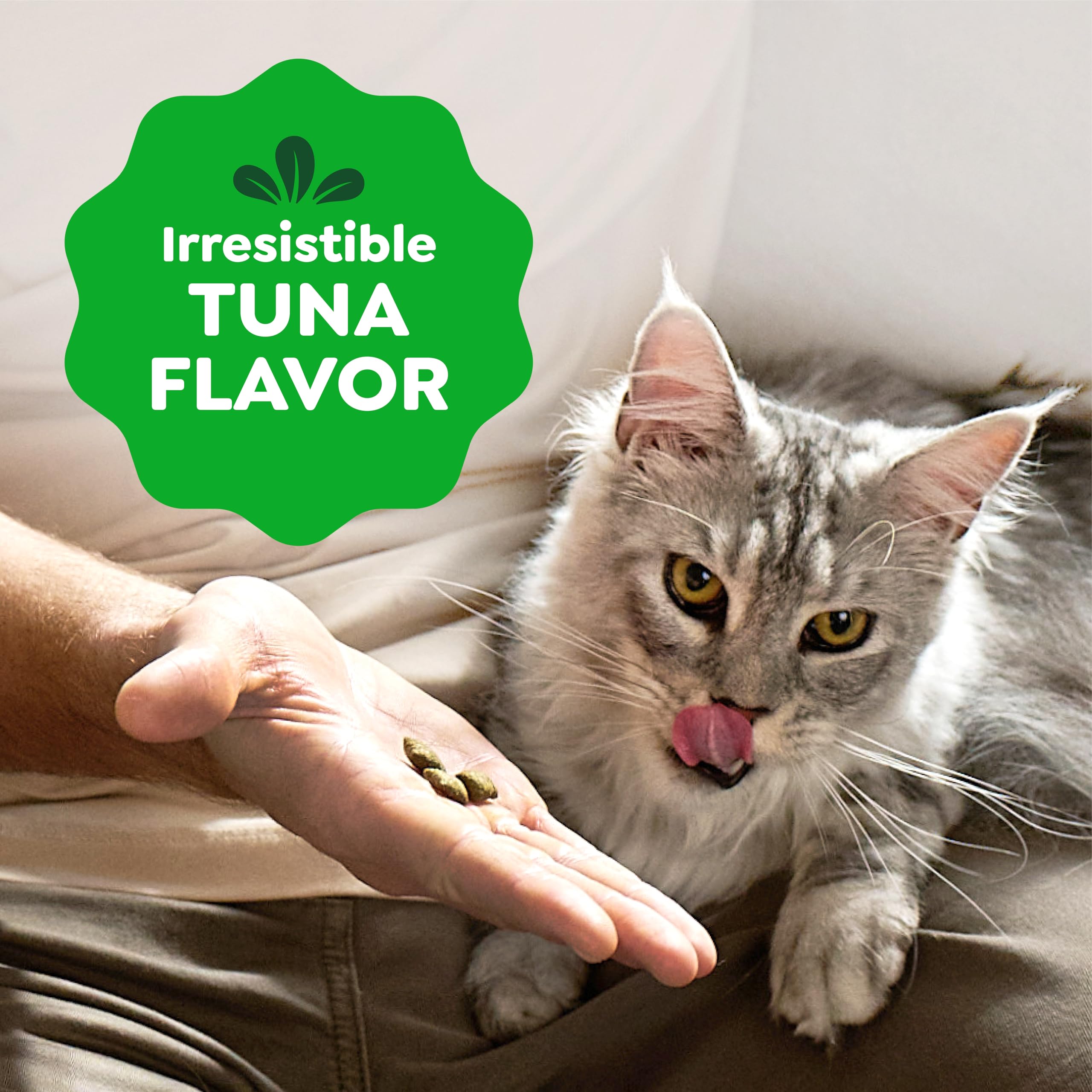 Greenies Feline Smartbites high-protein recipe image, supporting lean muscle with quality protein.