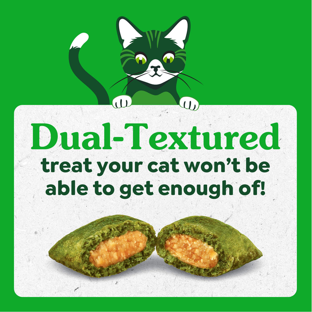 Greenies indoor kitten snack image suggests simple daily motivation and bonding