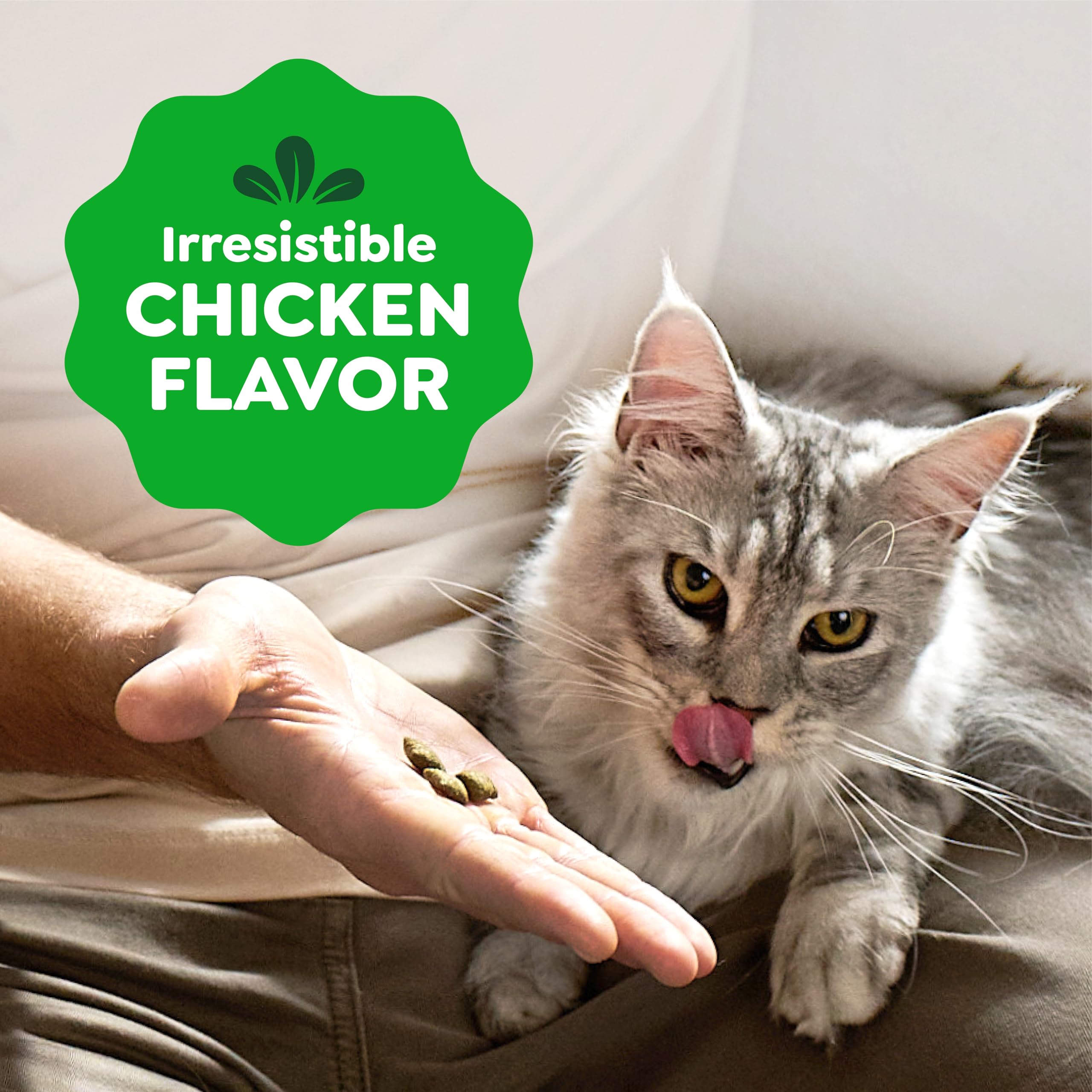Greenies Feline Smartbites ready-to-use treats for toy dispensers and indoor play.
