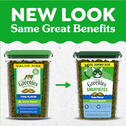 Greenies Feline Smartbites treat toy enrichment, encouraging play during indoor time.