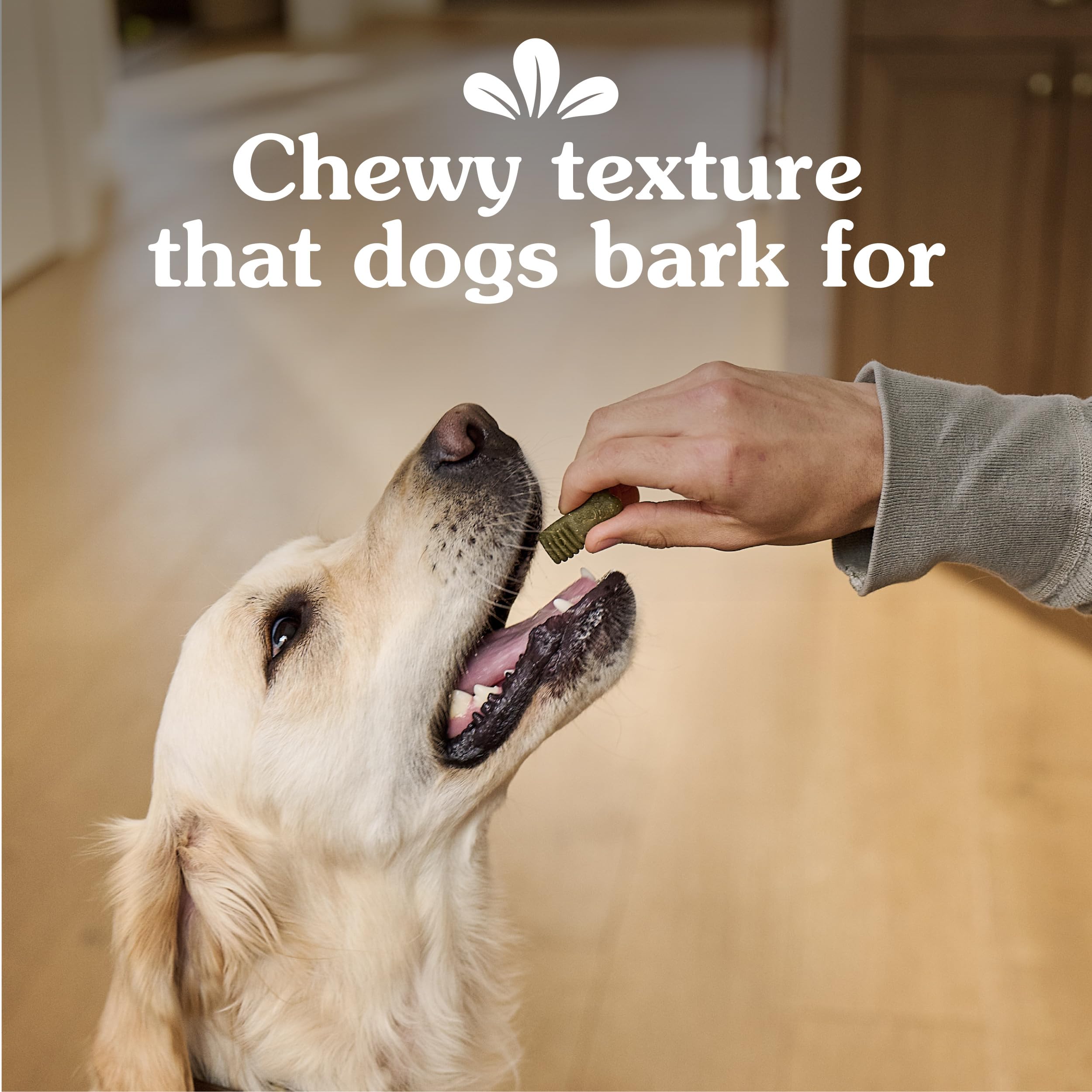 Greenies for dogs easy to digest with natural ingredients and nutrients.