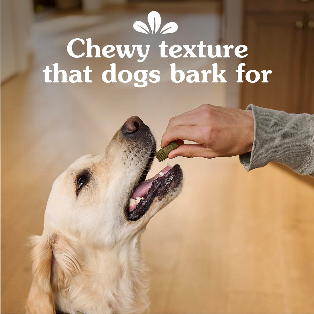 Greenies for dogs easy to digest with natural ingredients and nutrients.