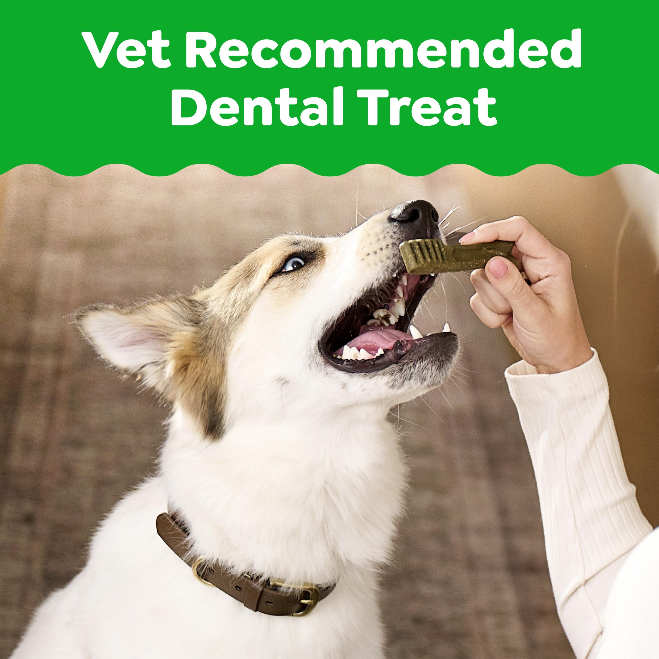 Greenies large dog dental chews image emphasizes gumline cleaning design.