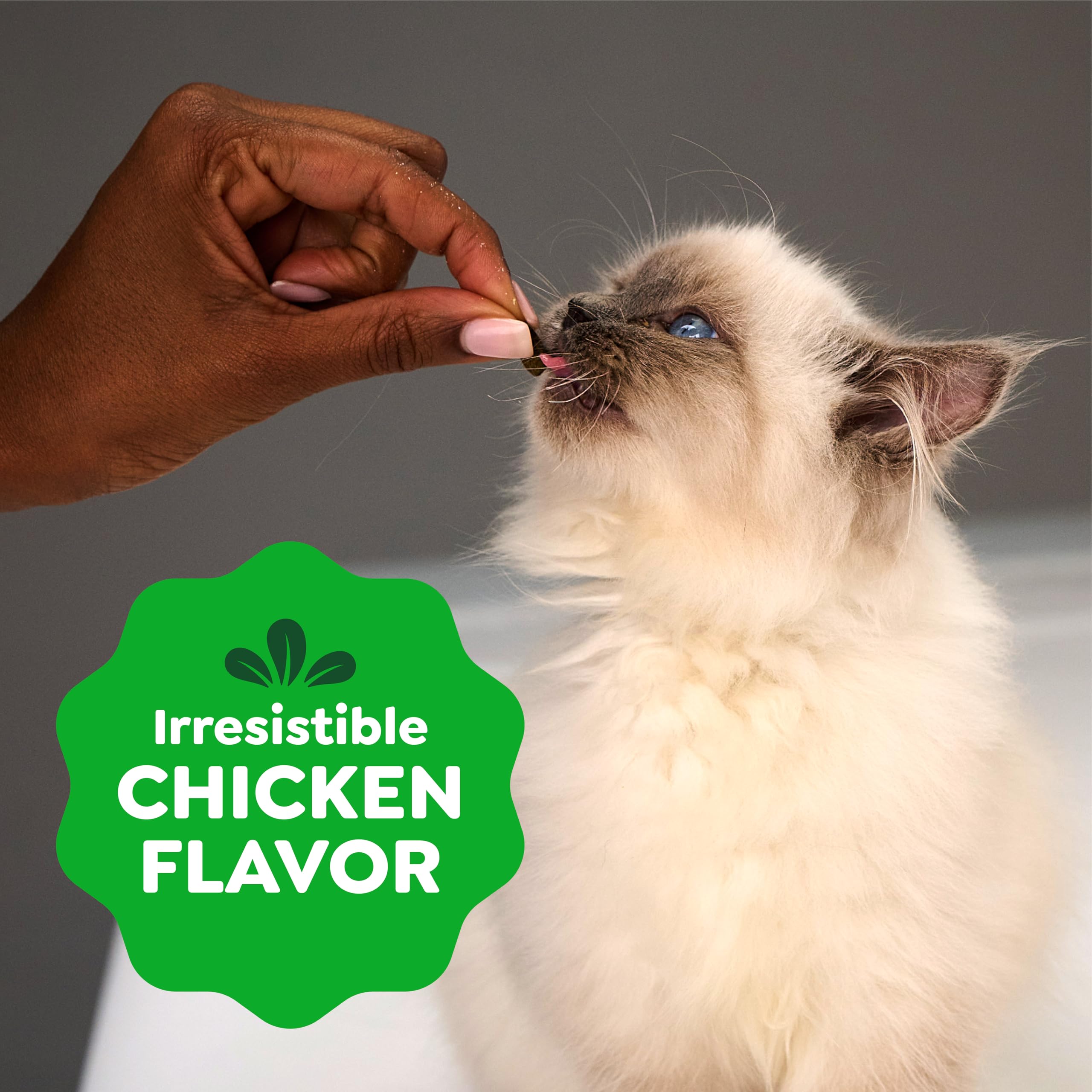 Greenies natural ingredients kitten snack highlighting wholesome nutrition