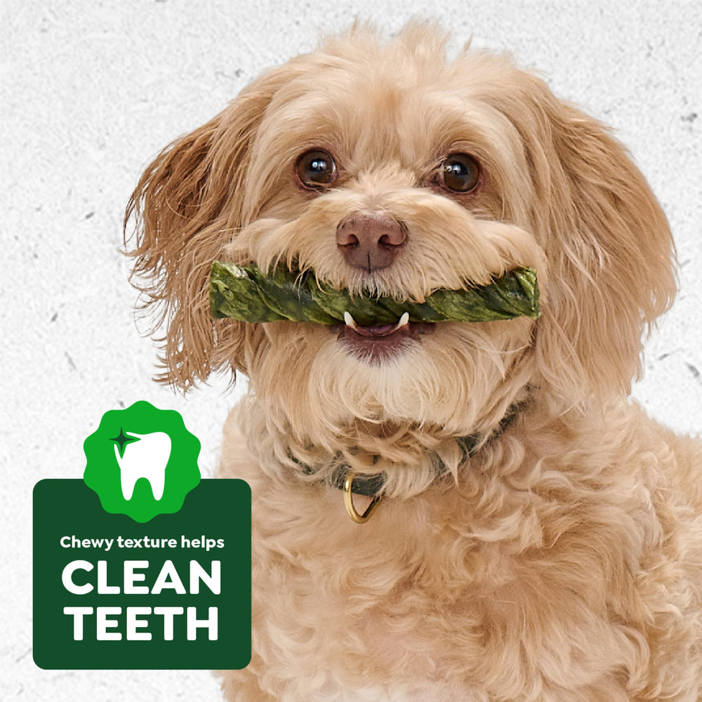 Greenies Occupy Twists dental care chew for dogs over 50 lbs