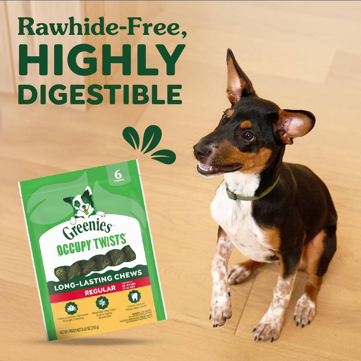 Greenies Occupy Twists dog chews designed for calm chewing.