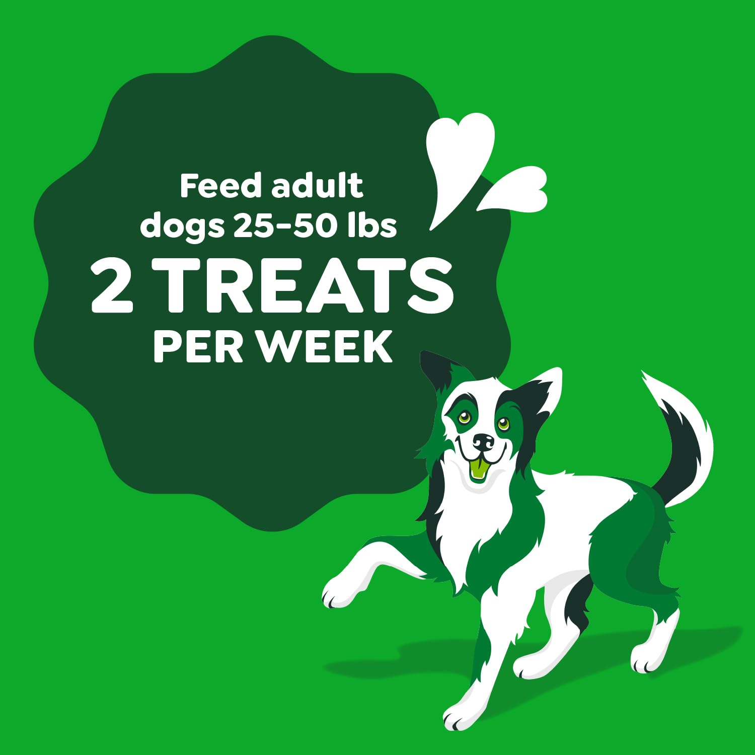 Greenies Occupy Twists engaged-dog moment shows mental stimulation.