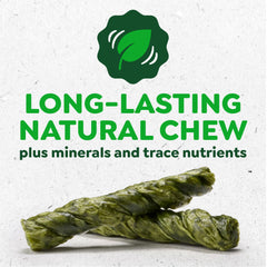 Greenies Occupy Twists large-breed dog chew in use