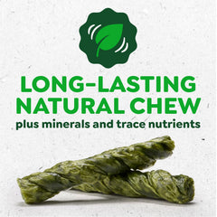 Greenies Occupy Twists texture close-up shows long-lasting, satisfying chew.