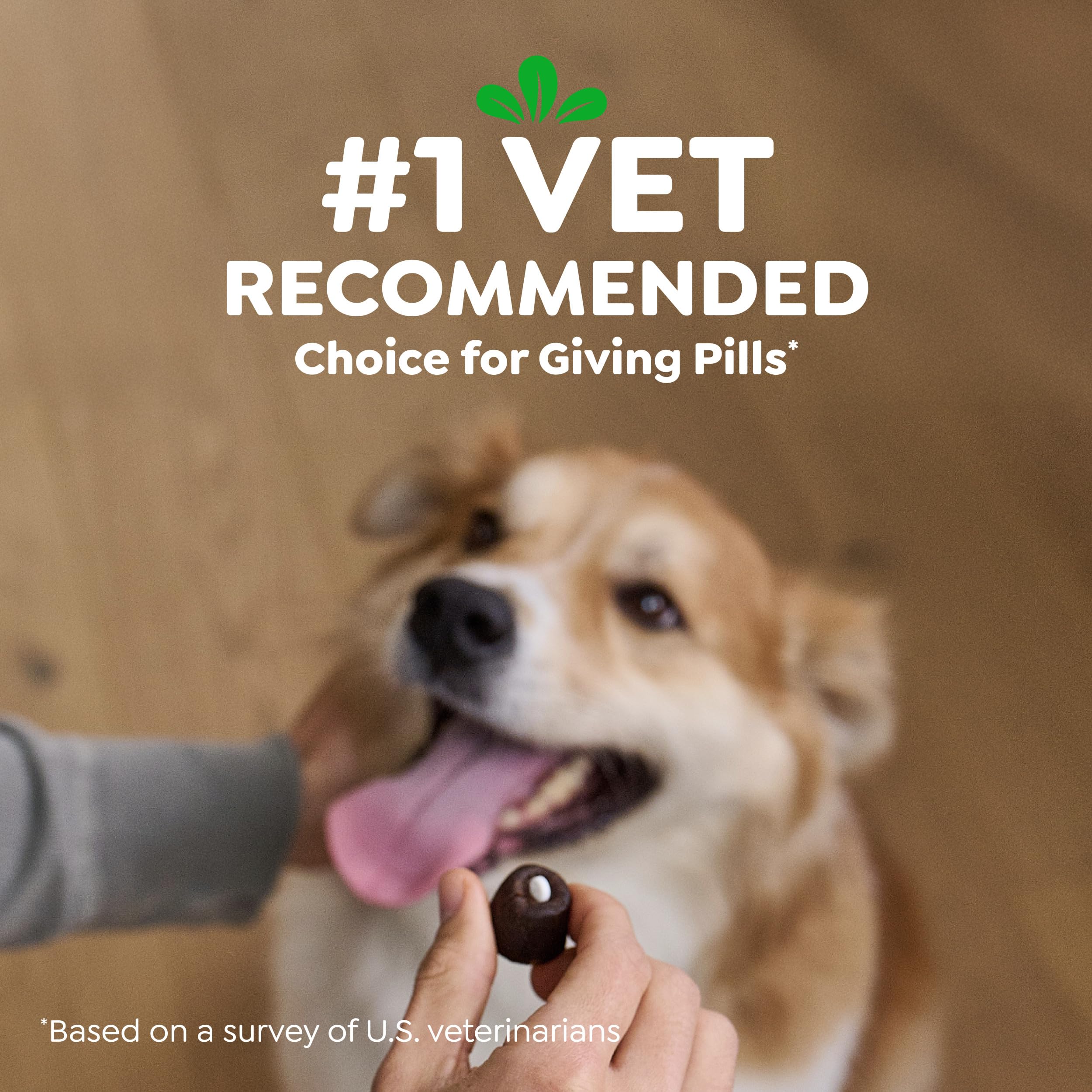 Greenies pill pockets odor-masking technology supports stress-free dosing.