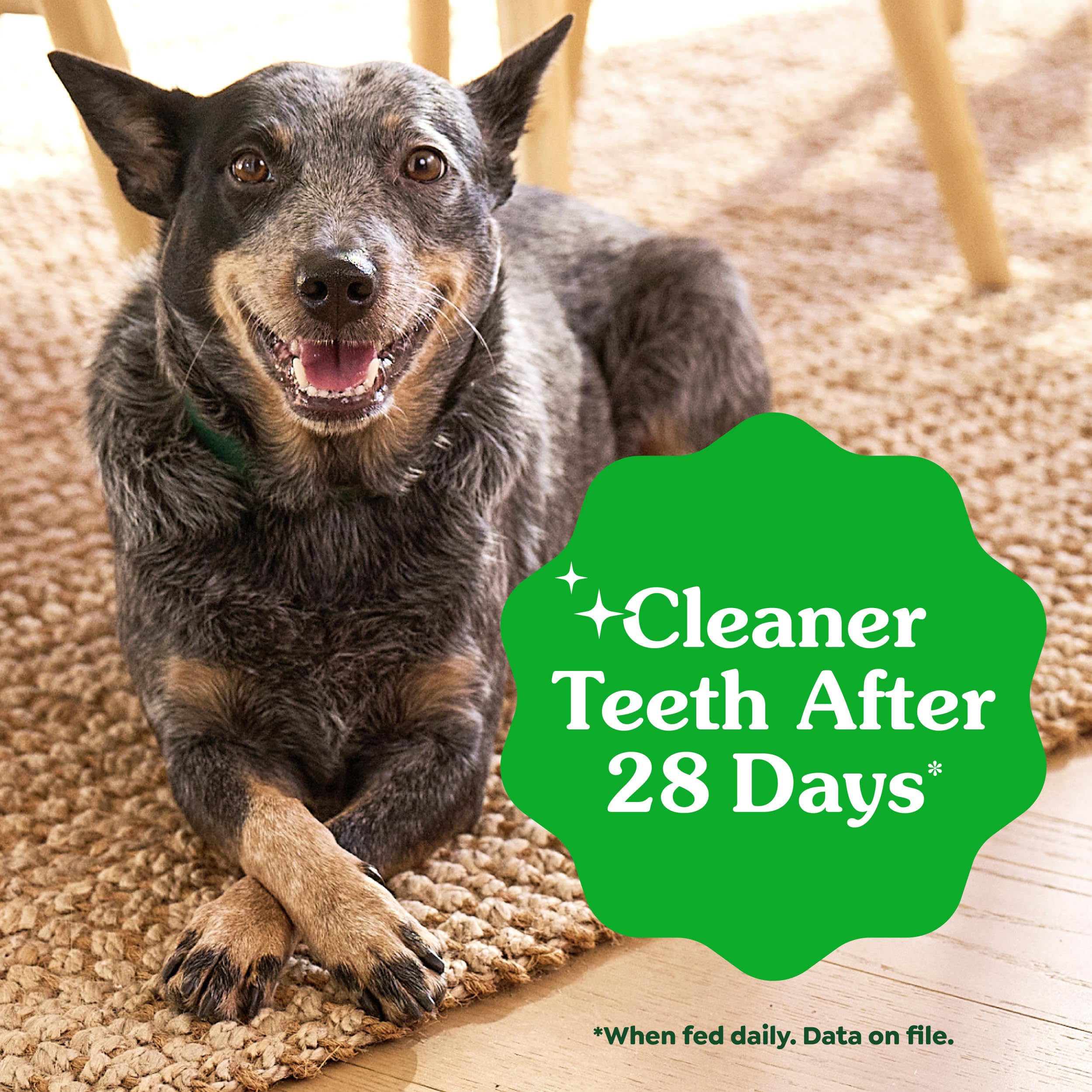 Greenies rawhide-free badge emphasizes safe, chewable dental treats.