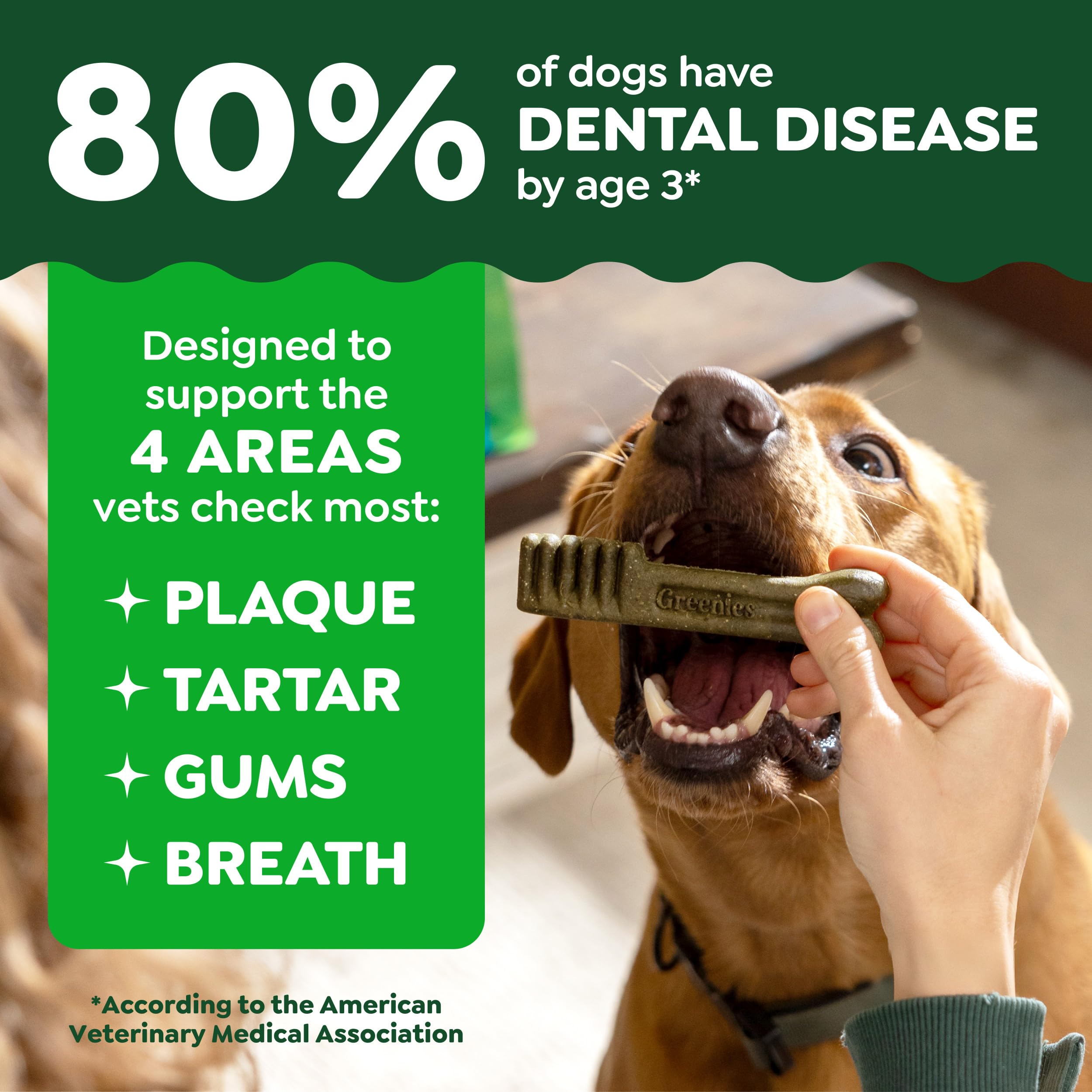 Greenies rawhide-free dog chews ensure safe chewing for puppies.