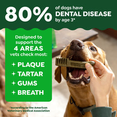 Greenies rawhide-free dog chews ensure safe chewing for puppies.