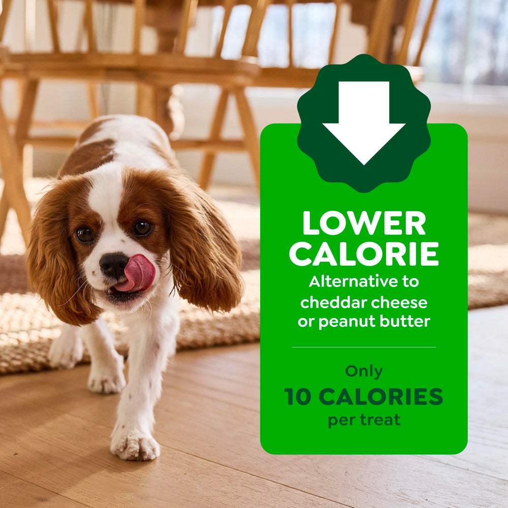 Greenies treat pouch mess-free design keeps paws clean.