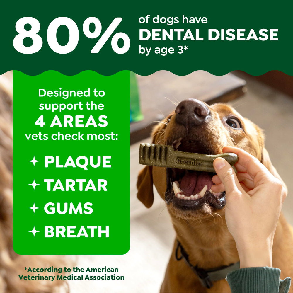 Greenies vet-recommended emblem reassures trusted dog dental care.
