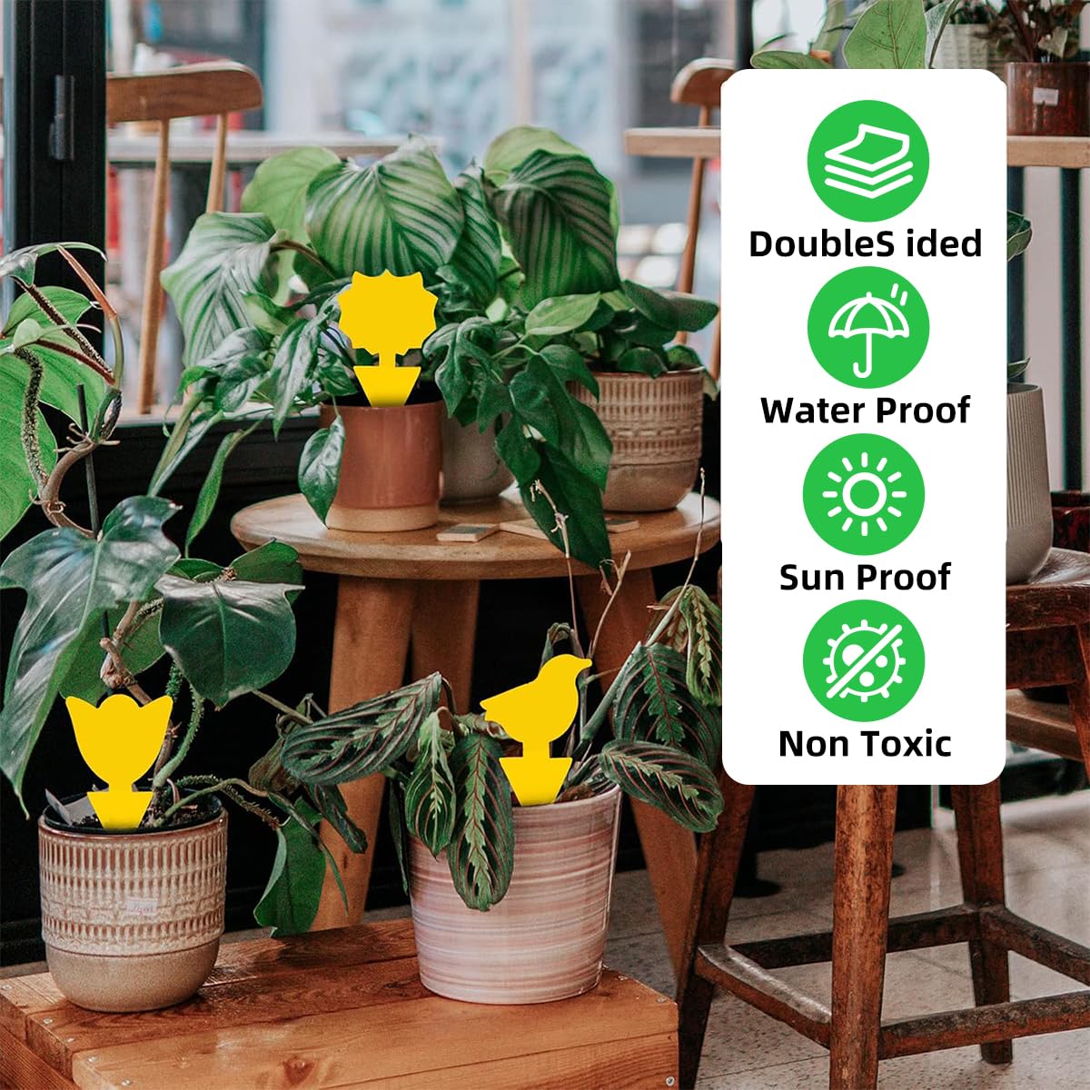 GreenKeeper traps fit indoors or in outdoor plant areas.